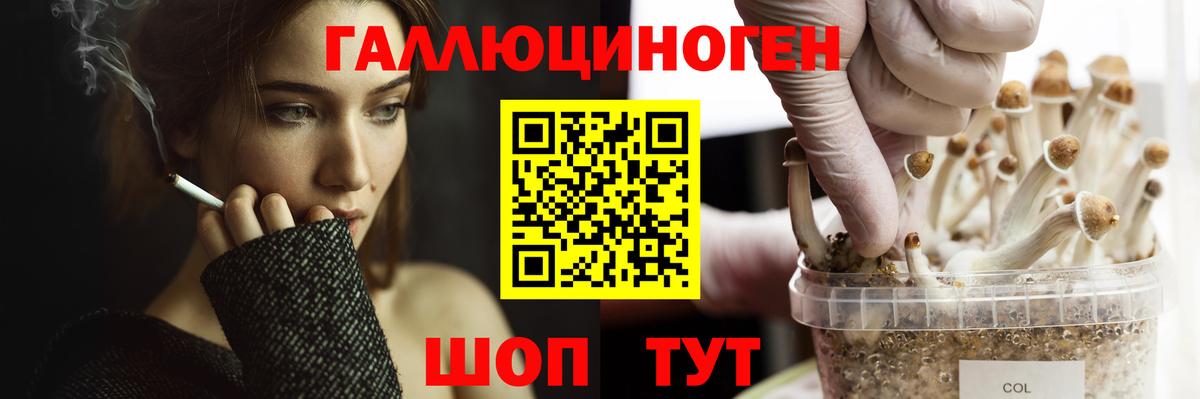 Галлюциногенные грибы MAGIC MUSHROOMS Кореновск
